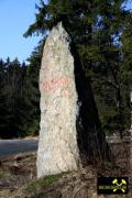 Diabasbombentuffklippen NW des Autobahndreieck Hochfranken (A72-A93) bei Hof, Bayern, (D) (35) 09. Februar 2011.JPG